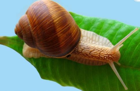 50 случайных фактов, в которые вы не поверите