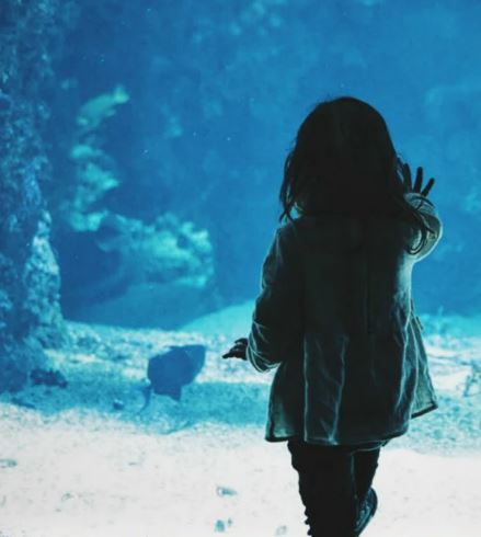 Идеи для семейного отдыха