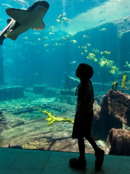 Почему вам следует путешествовать с вашим дошкольником